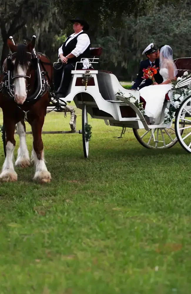 outdoor wedding with horse carrage